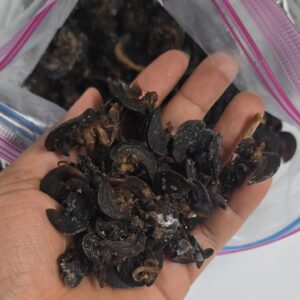 Escargots séchés